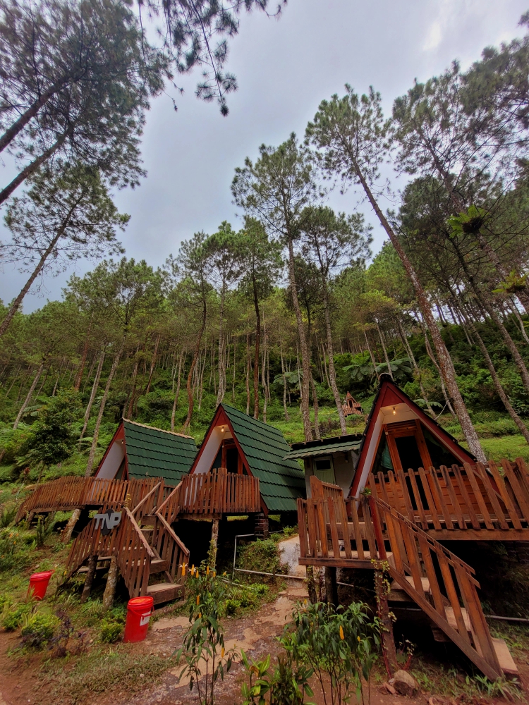 Glamping