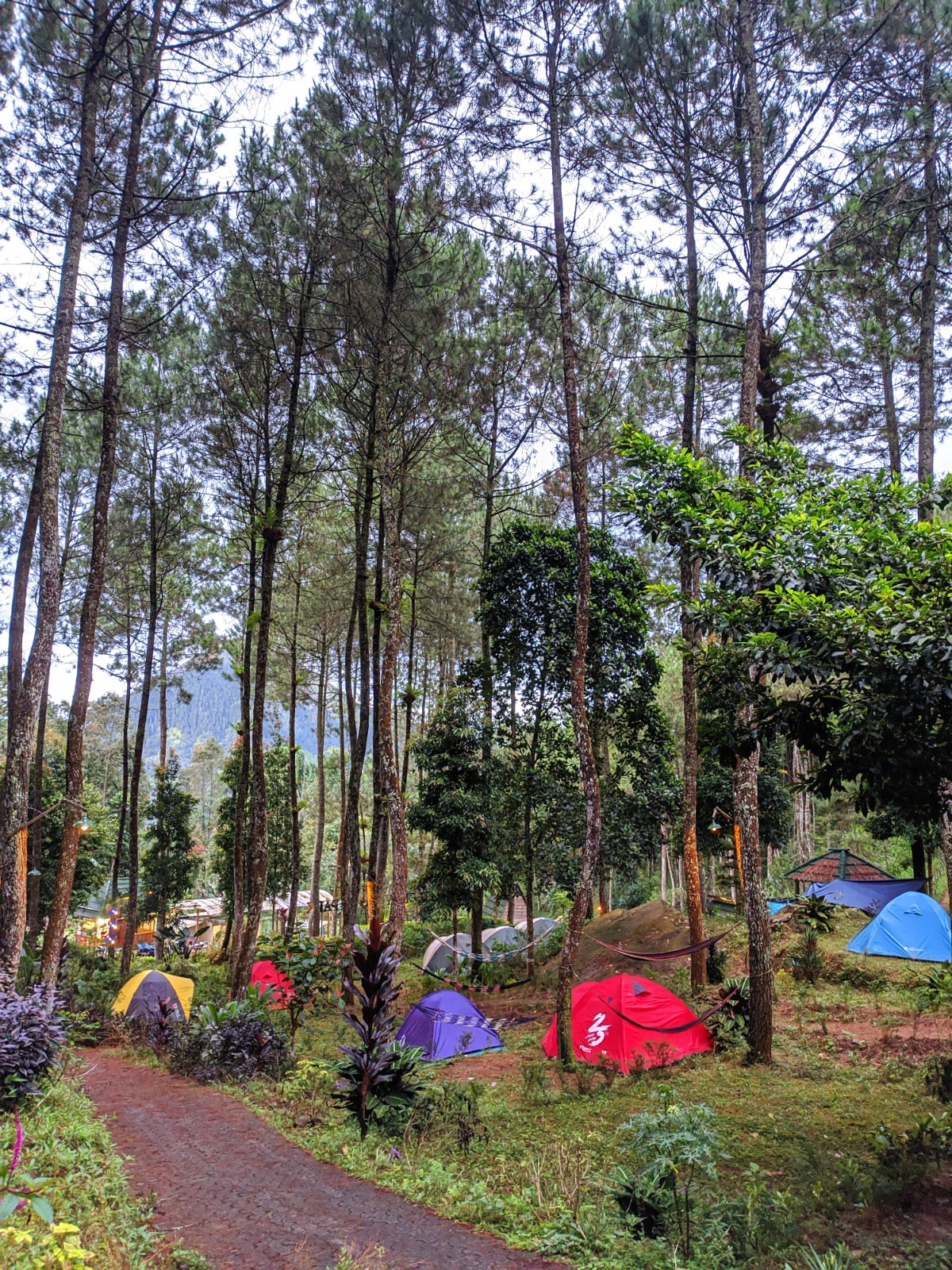 Camping Ground (Sewa Lahan)